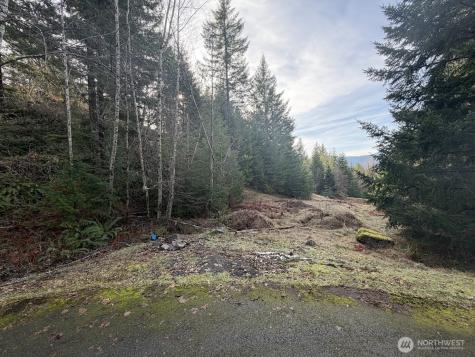115 Ridge Lane Packwood WA 98361