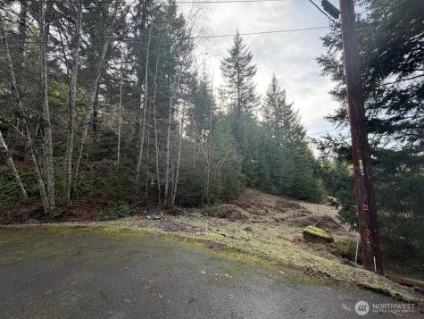 115 Ridge Lane Packwood WA 98361