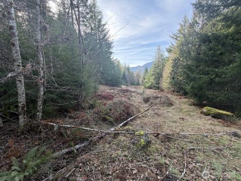 115 Ridge Lane Packwood WA 98361