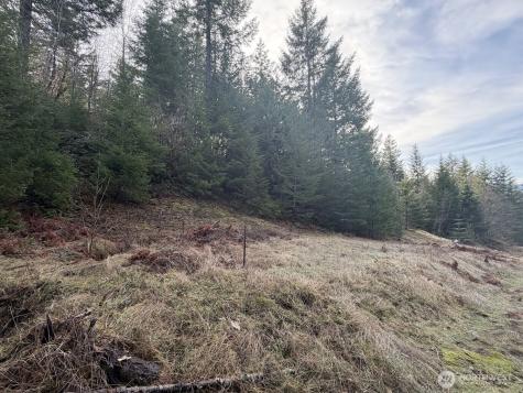 115 Ridge Lane Packwood WA 98361