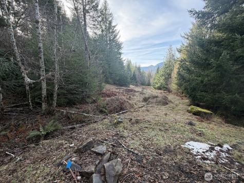 115 Ridge Lane Packwood WA 98361