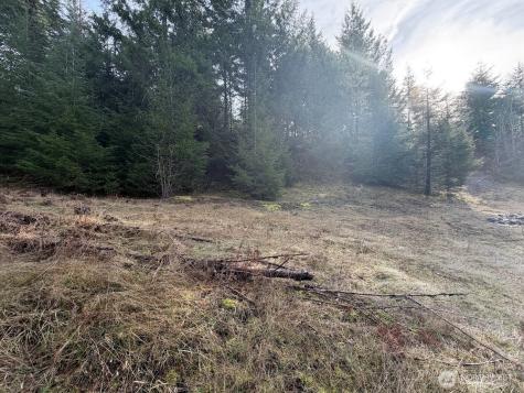 115 Ridge Lane Packwood WA 98361