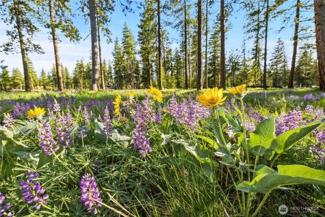 17 Wanawish Loop Cle Elum WA 98922