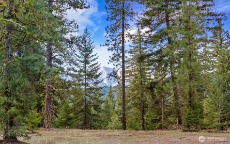 17 Wanawish Loop Cle Elum WA 98922