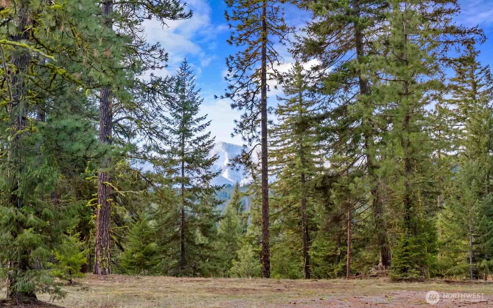 17 Wanawish Loop Cle Elum WA 98922