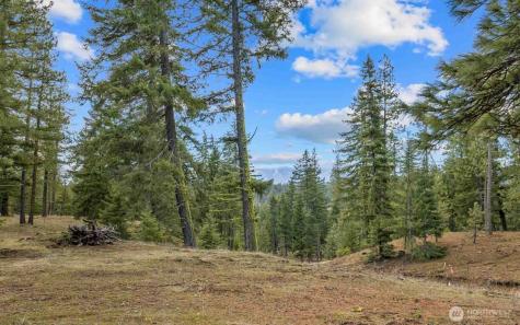 17 Wanawish Loop Cle Elum WA 98922