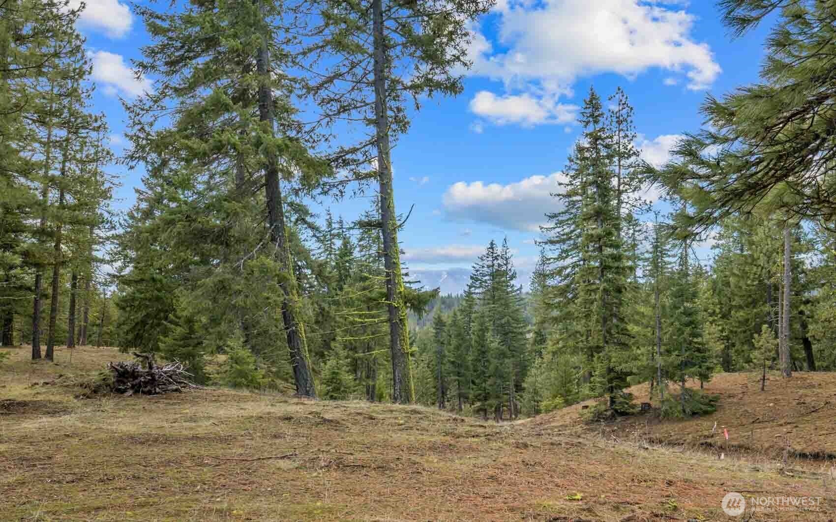 17 Wanawish Loop Cle Elum WA 98922