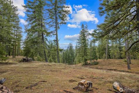 17 Wanawish Loop Cle Elum WA 98922