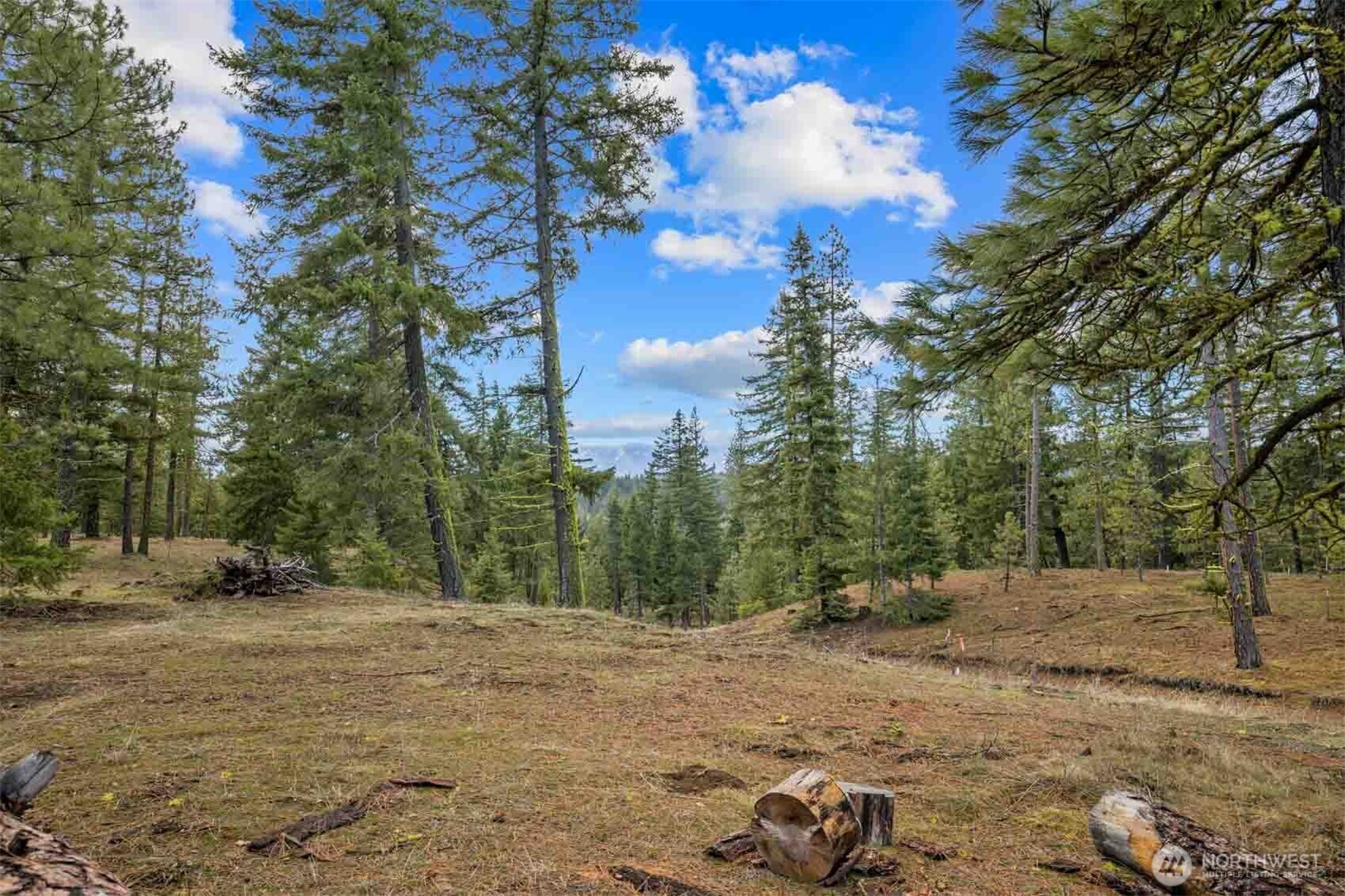 17 Wanawish Loop Cle Elum WA 98922