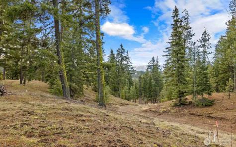 17 Wanawish Loop Cle Elum WA 98922