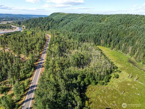 0 Spirit Lake Highway Toutle WA 98649
