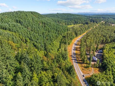 0 Spirit Lake Highway Toutle WA 98649