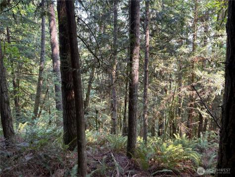 0 Spirit Lake Highway Toutle WA 98649