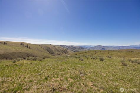 0 Blue Sky Lane Orondo WA 98843