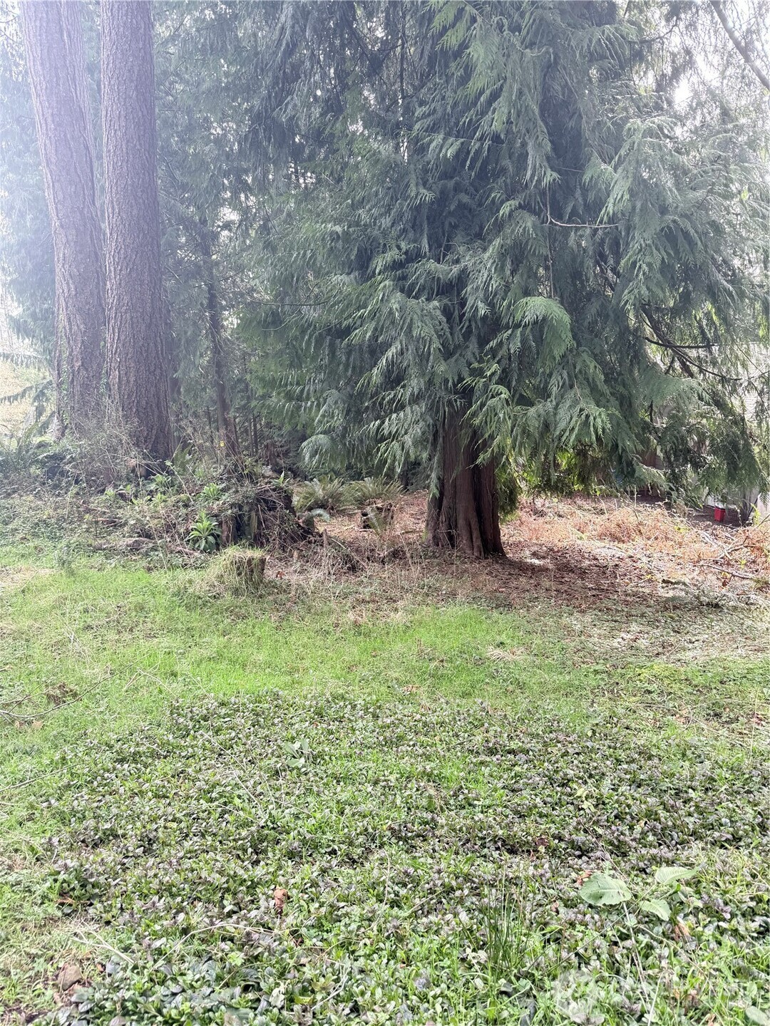 0 West Road Sedro Woolley WA 98284