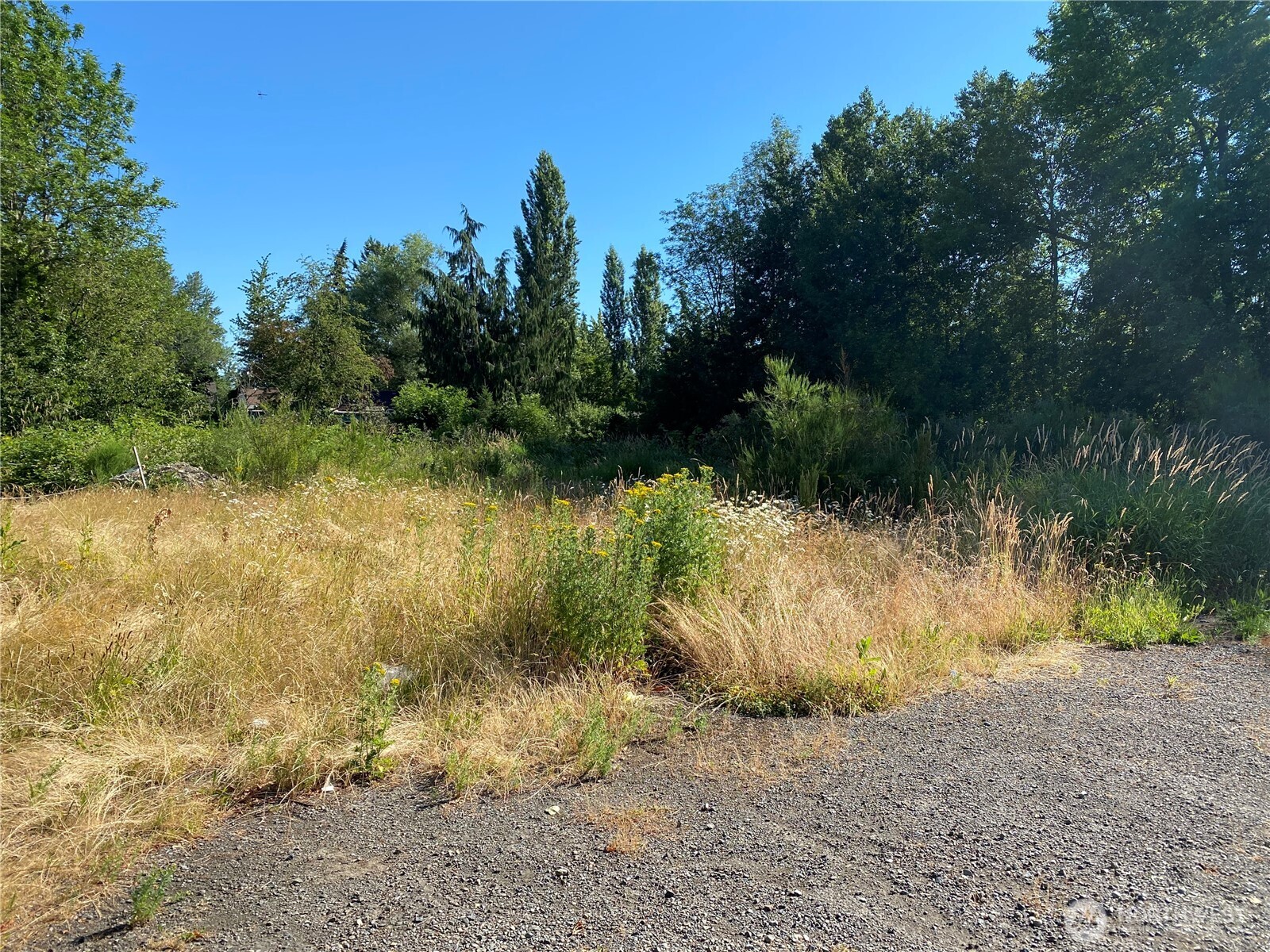 9009 Fawcett Avenue Tacoma WA 98444