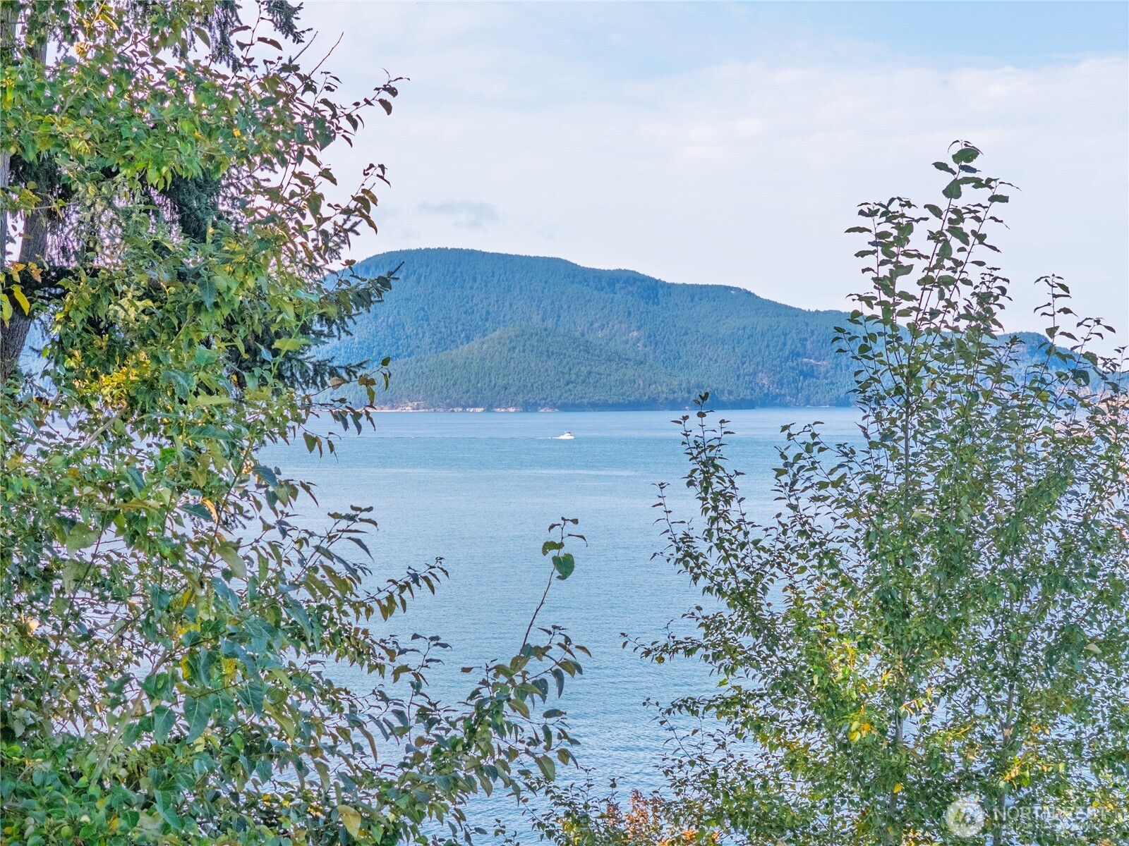 3820 Leeward Lane Anacortes WA 98221