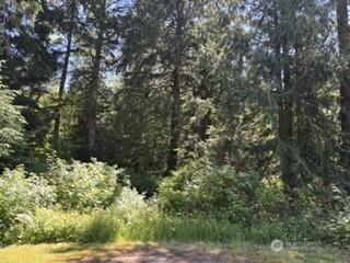 0 441st Avenue SE North Bend WA 98045