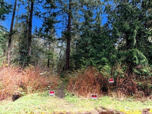 0 441st Avenue SE North Bend WA 98045