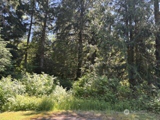 0 441st Avenue SE North Bend WA 98045