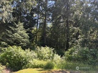 0 441st Avenue SE North Bend WA 98045