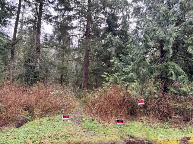 0 441st Avenue SE North Bend WA 98045