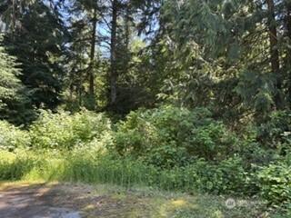 0 441st Avenue SE North Bend WA 98045