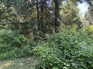 0 441st Avenue SE North Bend WA 98045