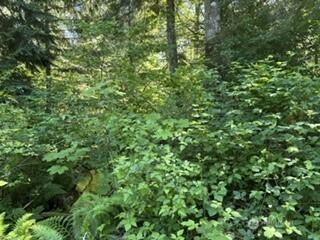 0 441st Avenue SE North Bend WA 98045
