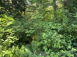 0 441st Avenue SE North Bend WA 98045