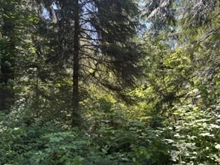0 441st Avenue SE North Bend WA 98045