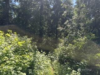 0 441st Avenue SE North Bend WA 98045