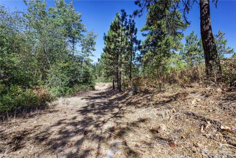 0 Sky Meadows Road Cashmere WA 98815