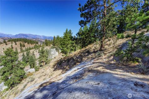 0 Sky Meadows Road Cashmere WA 98815