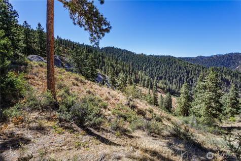 0 Sky Meadows Road Cashmere WA 98815