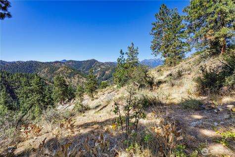 0 Sky Meadows Road Cashmere WA 98815