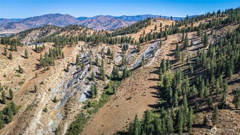 0 Sky Meadows Road Cashmere WA 98815