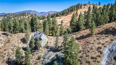 0 Sky Meadows Road Cashmere WA 98815