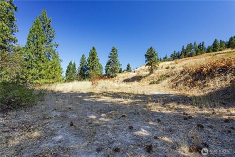 0 Sky Meadows Road Cashmere WA 98815
