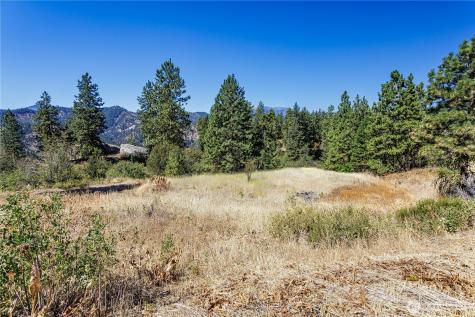 0 Sky Meadows Road Cashmere WA 98815