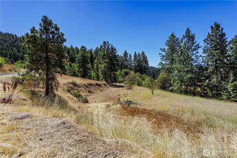 0 Sky Meadows Road Cashmere WA 98815