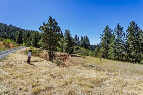 0 Sky Meadows Road Cashmere WA 98815