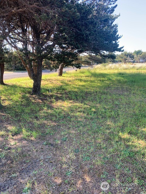 805 353rd Place Ocean Park WA 98640