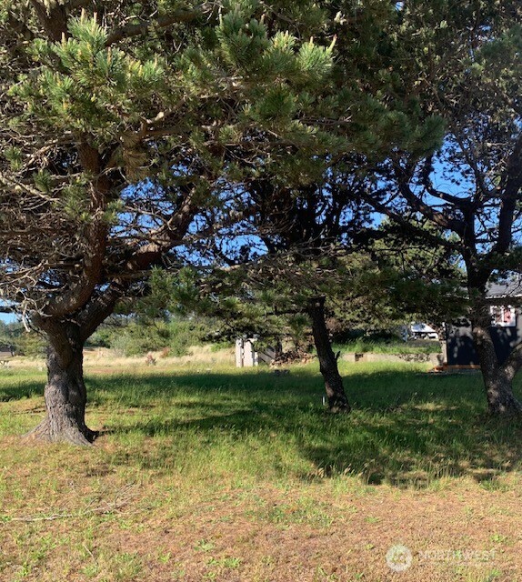 805 353rd Place Ocean Park WA 98640