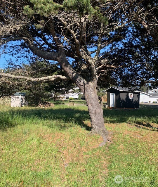 805 353rd Place Ocean Park WA 98640