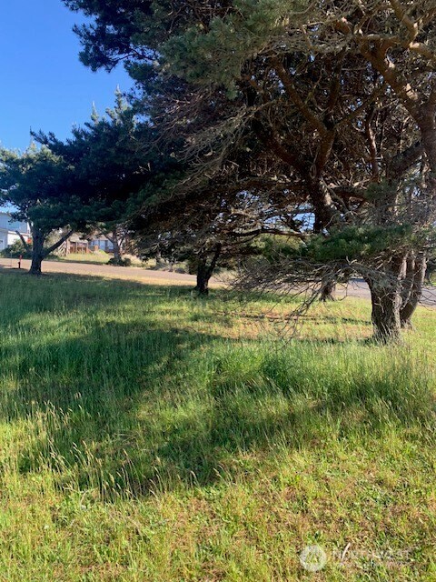 805 353rd Place Ocean Park WA 98640