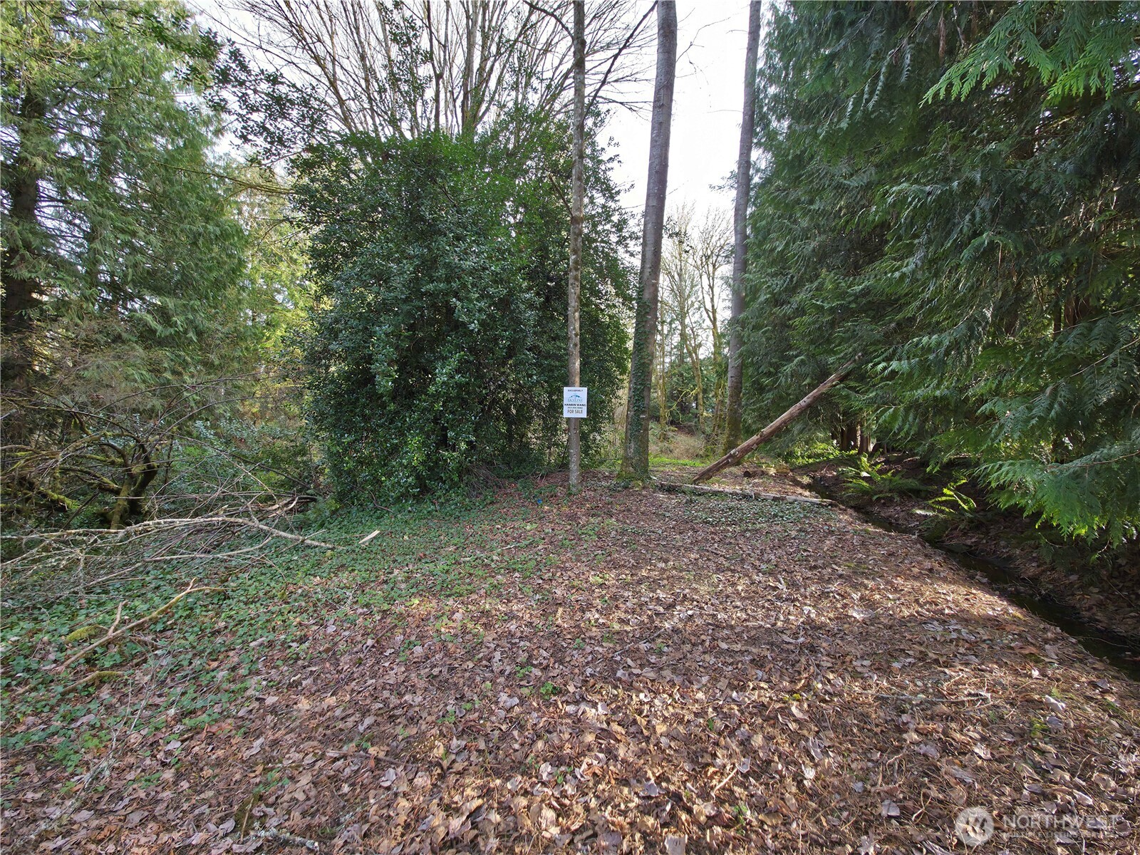 19455 SE 168th Street Renton WA 98058