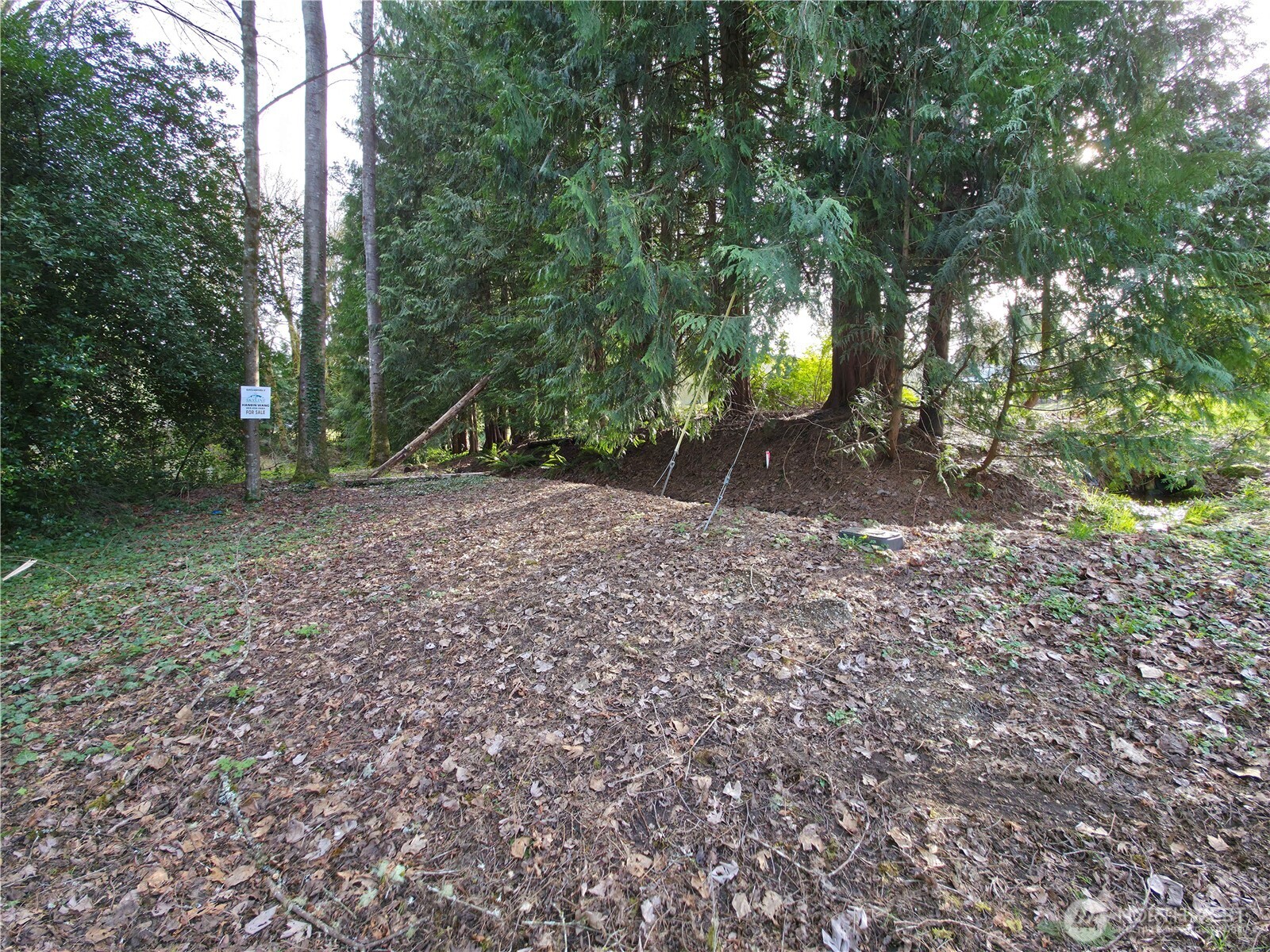 19455 SE 168th Street Renton WA 98058