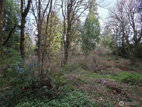 19455 SE 168th Street Renton WA 98058