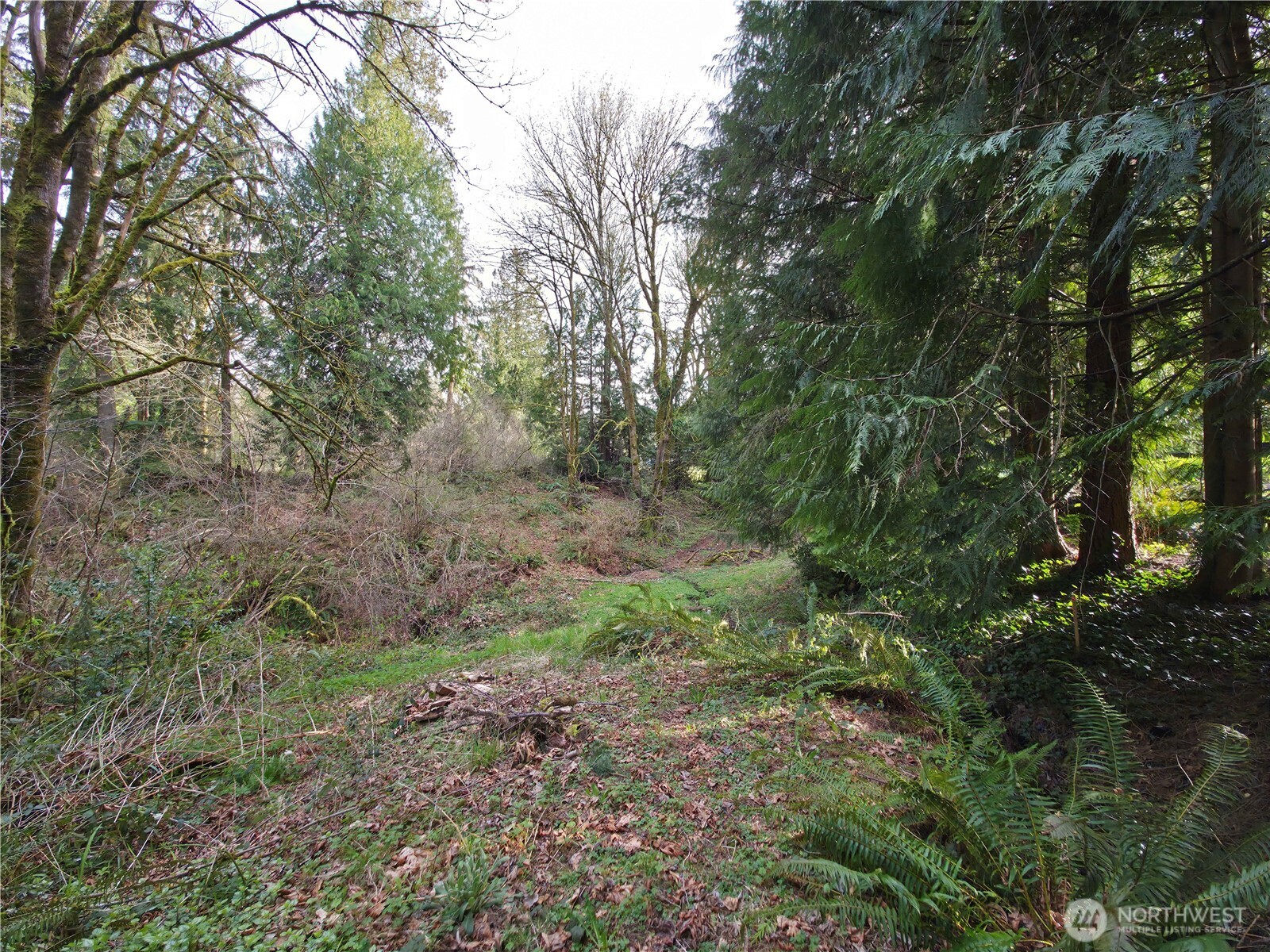 19455 SE 168th Street Renton WA 98058